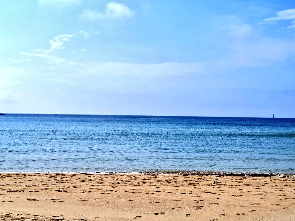 Shingthesea's tweet photo. 친구들이랑 부산여행 갔다왔어요! https://t.co/uy6uue0dnb