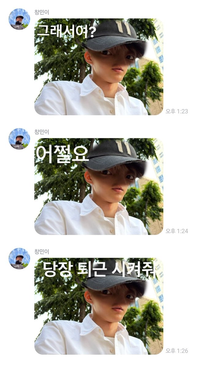 레디 tweet media
