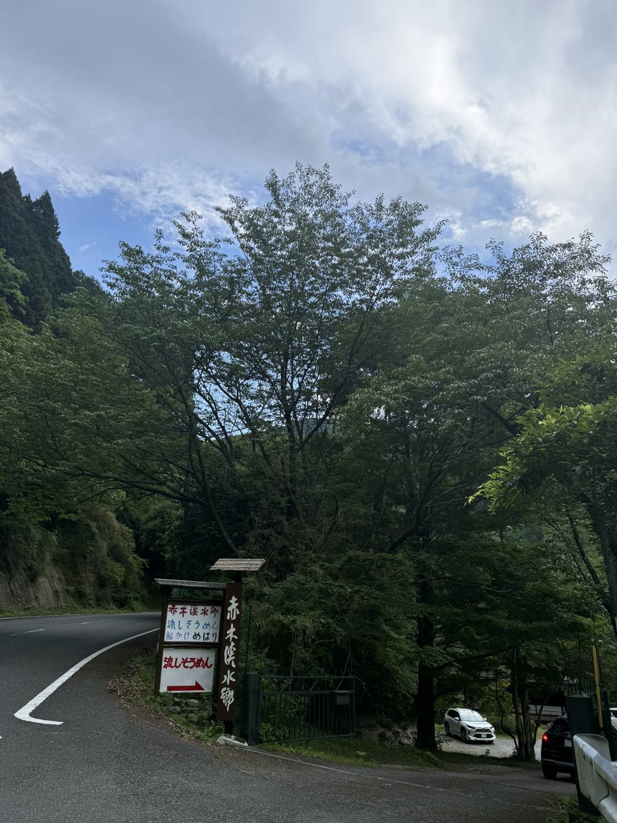ココニャ@猫写真集、発売中! tweet media