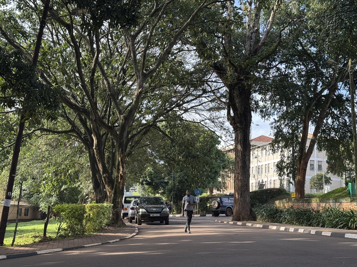 DICTSMakerere's tweet photo. It’s a Friday.
We want to wish you a great and fruitful day.
Be inspired by this quote:
“If your thinking is foggy, your life will be fragile. In a world designed to keep you outraged and distracted, clear thinking is your biggest competitive advantage.”
#ThinkClear https://t.co/QsTeqQthlf