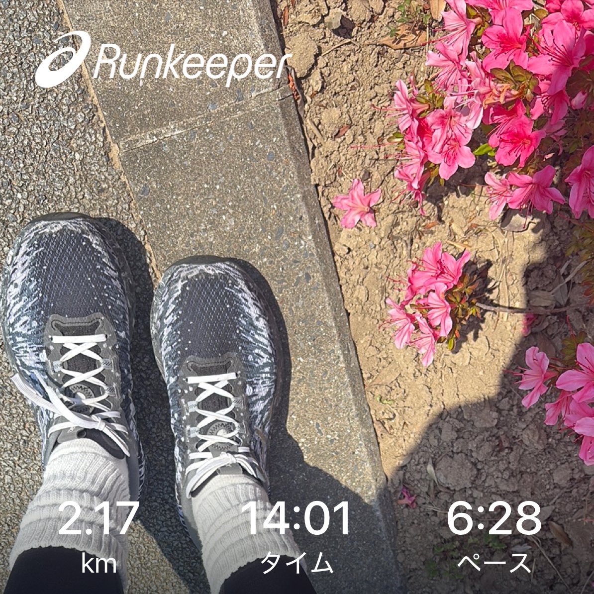 nor_ar's tweet photo. #runkeeper
#昼ラン
暑い🫠
🏃🏻‍♀️💦💦💦 https://t.co/K5f5ab2Riu