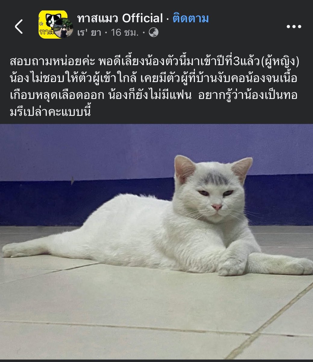 รีแอคชั่น วิดีโอ🏳️‍🌈 tweet media