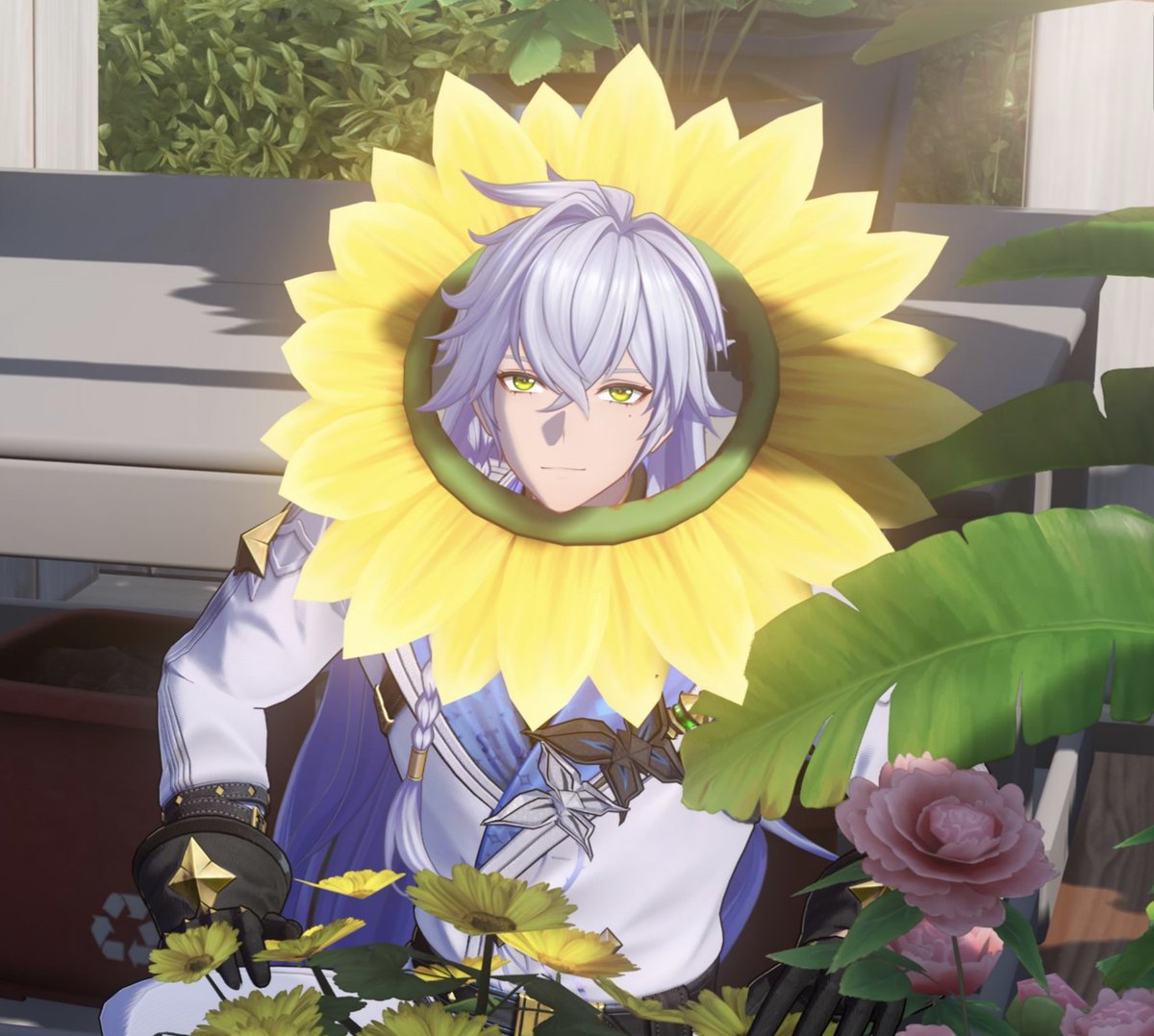 フォルナリーナ tweet media
