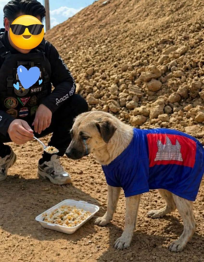 ColoradoryR's tweet photo. @RedDemocacy @EVILSAGAGemini โพสขอข้าวหมาแดกหรา ควย ไอ้สัตว์ https://t.co/xLi0akgrtI