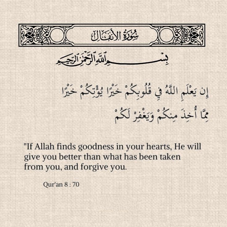 Muslim Ummah tweet media