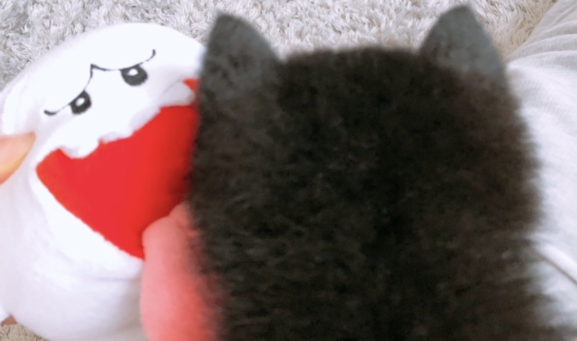 きなこもちY (@kinako_mochi_y) / Posts / X