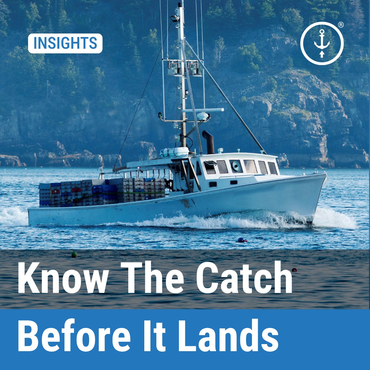 deckhandlogbook's tweet photo. Know what's coming in before the boat ties up.

When catch or offload data is recorded digitally at sea, species, quantity, quality, and effort is more complete and more usable than anything scribbled on paper at the dock.

#CPUE #SmartFishing#CPUE #SmartFishing https://t.co/vlRy4RC94j