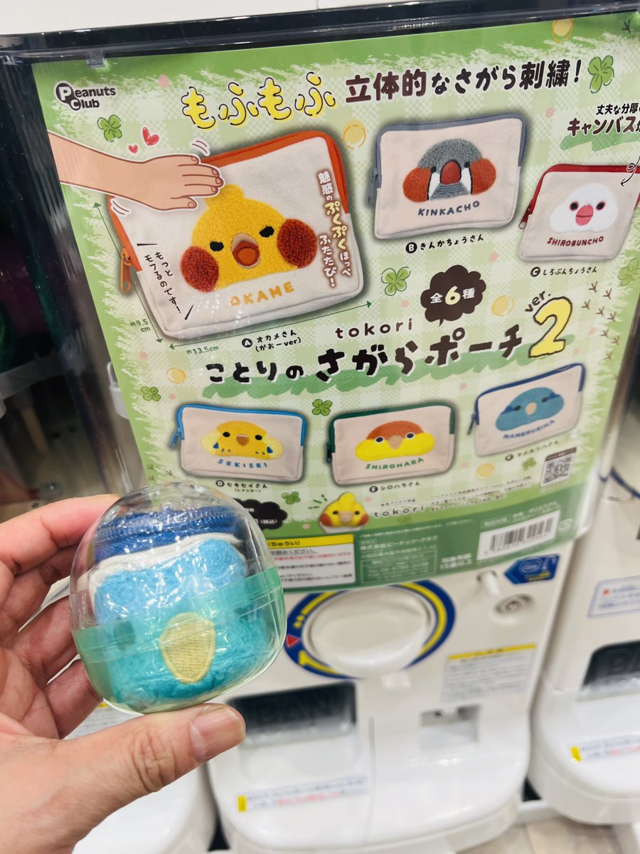 花梨＊BIRD tweet media