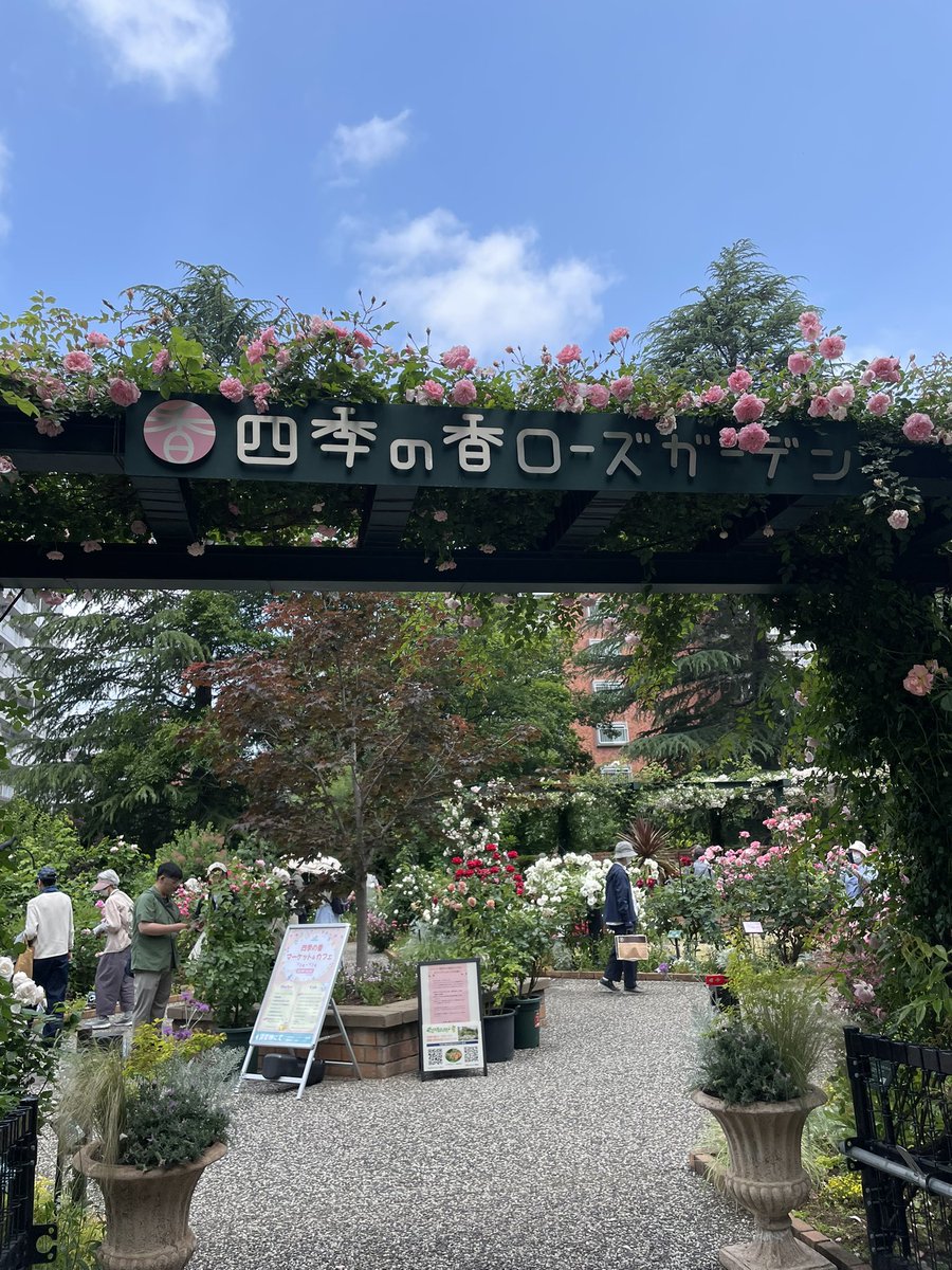 回文ちゃん。 tweet media