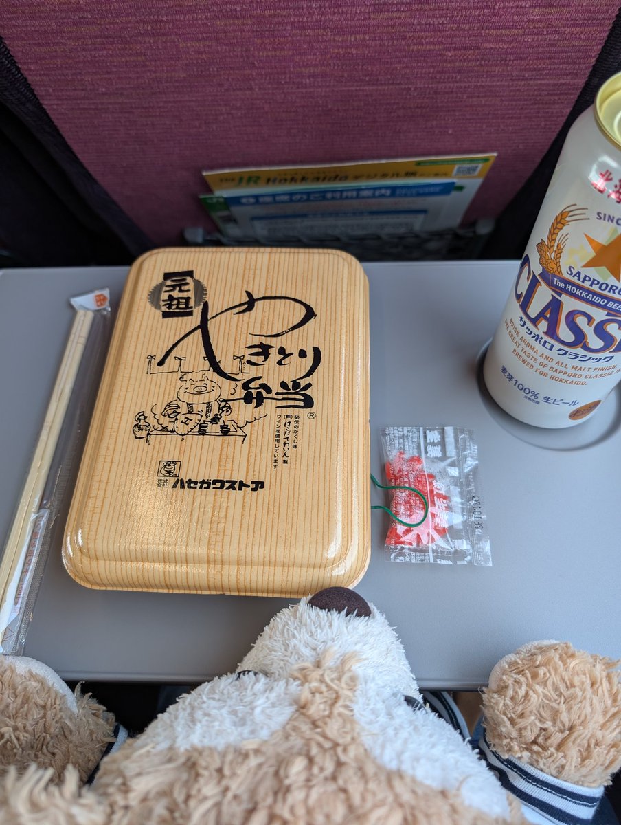 ピィピィはいかピィーッ( ・ิω・ิ)✧🐤 tweet media
