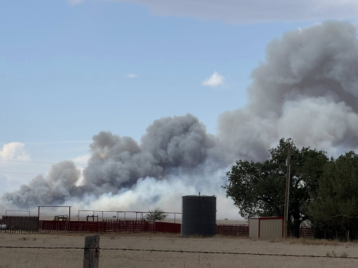 ByronKOAT's tweet photo. Pics of Quay County fire near Nara Visa courtesy: Quay County Emergency Manager, Bill Kardokus @koat7news  https://t.co/Hvhq60QPk8
#Fire #NewMexico #NMFire #NMwx #LineFire https://t.co/WHpkDca5Lj