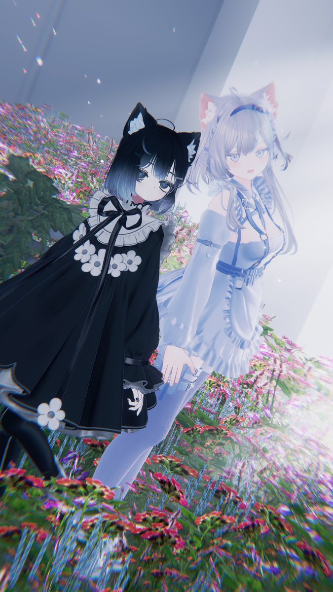 とーか🕸 tweet media