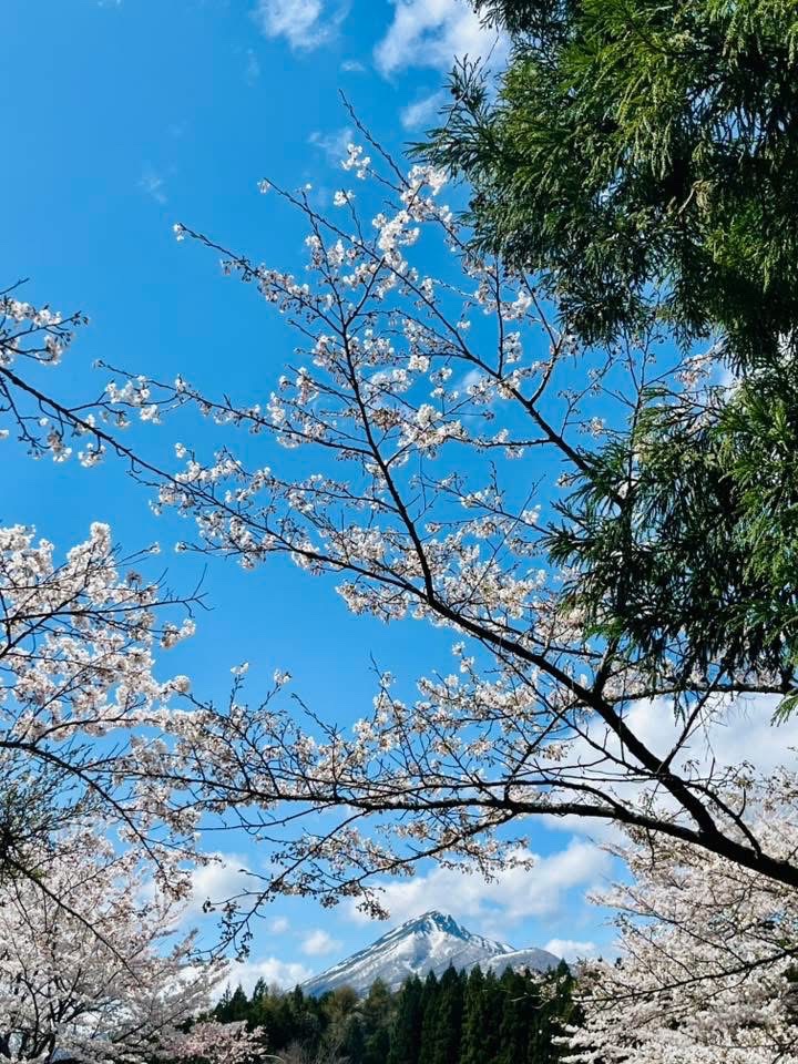 Maison de Lilas(謎凍結された為にこちらを本垢にします) tweet media