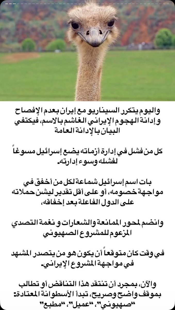 laila Mohammed tweet media