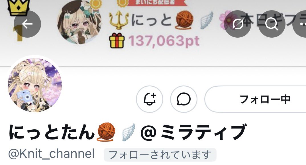 猫谷お皿 tweet media