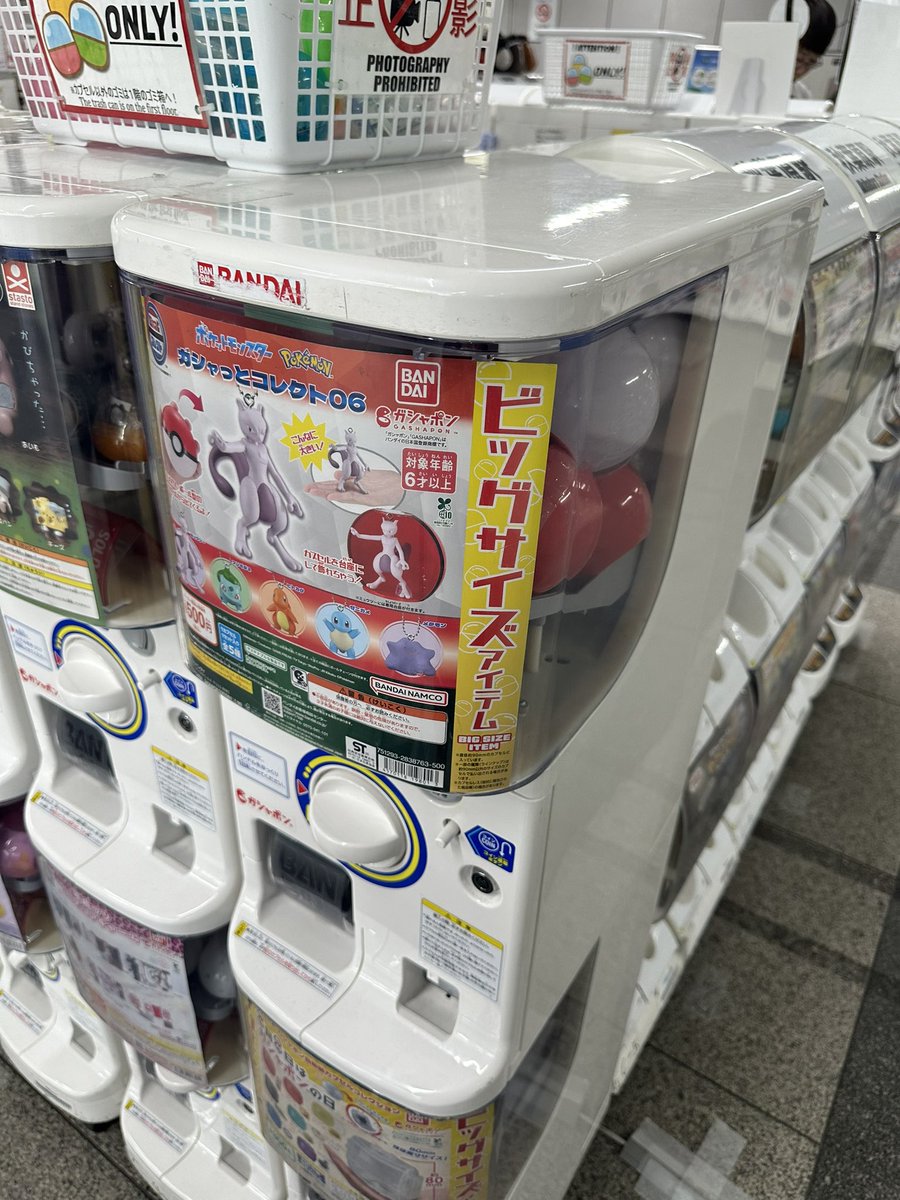 こはね tweet media