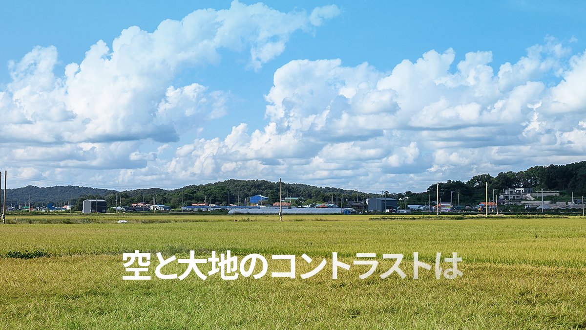 大韓航空 (@KoreanAir_JP) / Posts / X
