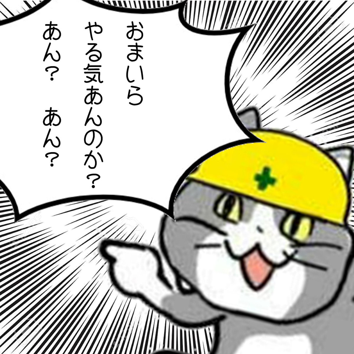 理想と現実の狭間 tweet media