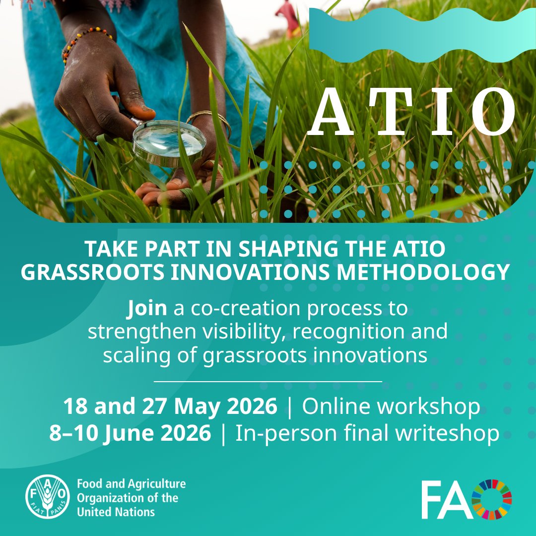 FAOeagriculture's tweet photo. 🚜 Work with farmer-led #AgInnovation, grassroots solutions or local knowledge systems?
@FAO’s Agrifood Systems Technologies and Innovations Outlook (#ATIO) is co-creating a methodology to capture &amp; scale grassroots innovations.

Contact ATIO@fao.org to engage!
 
#STIPortal https://t.co/EClTjFT0jy