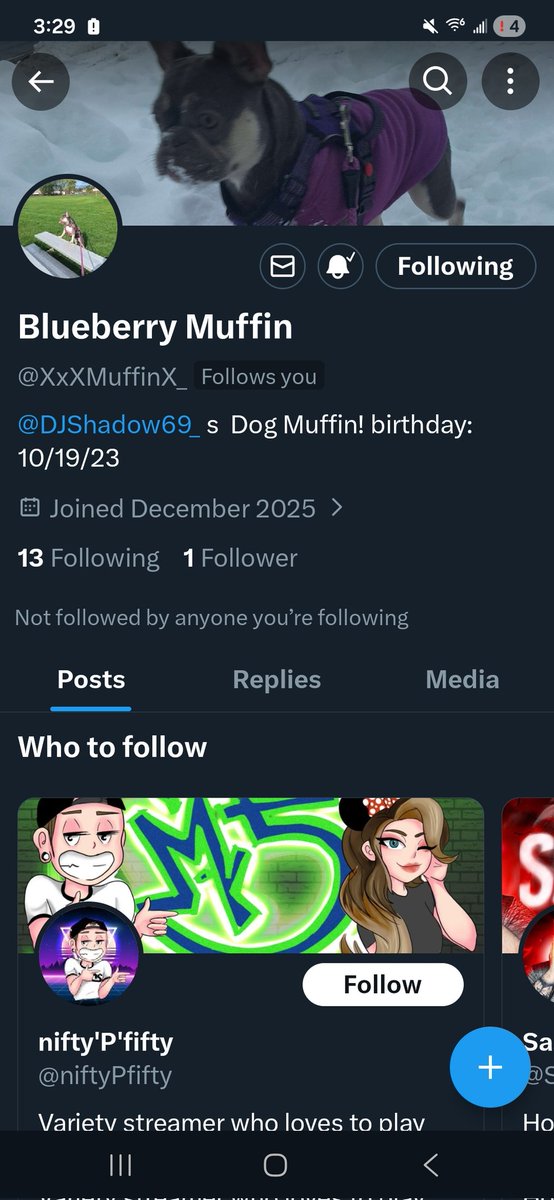 DJShadow69_'s tweet photo. If ya got a follow this is my dogs Twitter account.....I made personally for her....its hers! 😘😏expect photos of Muffin on Twitter! Go follow my doggieee https://t.co/QRjmaJeihL