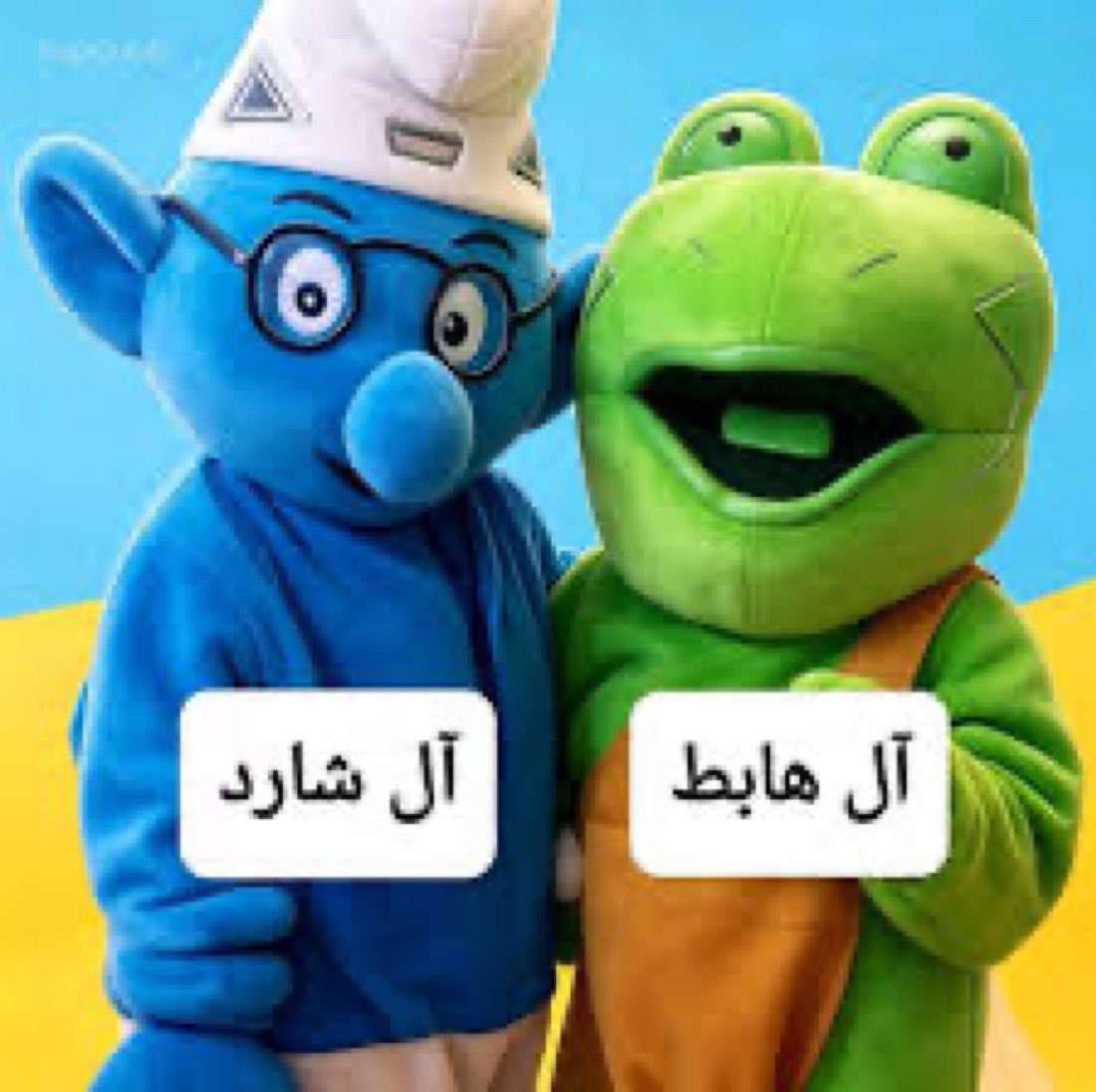 Abu Rayan 💙💛 tweet media