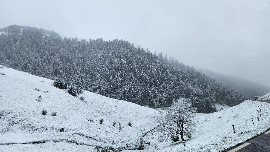 Météo Pyrénées tweet media