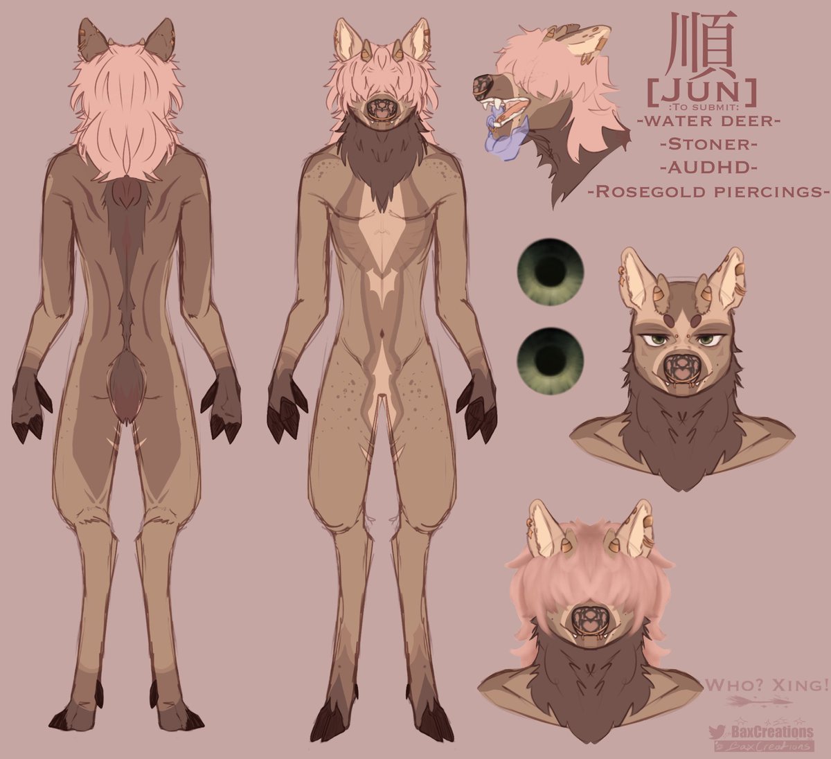 Who_Xing's tweet photo. Some little designs of Jun pre top surgery to fight off my dysphoria tonight 
#furry #sketch https://t.co/tez7kr0VhF