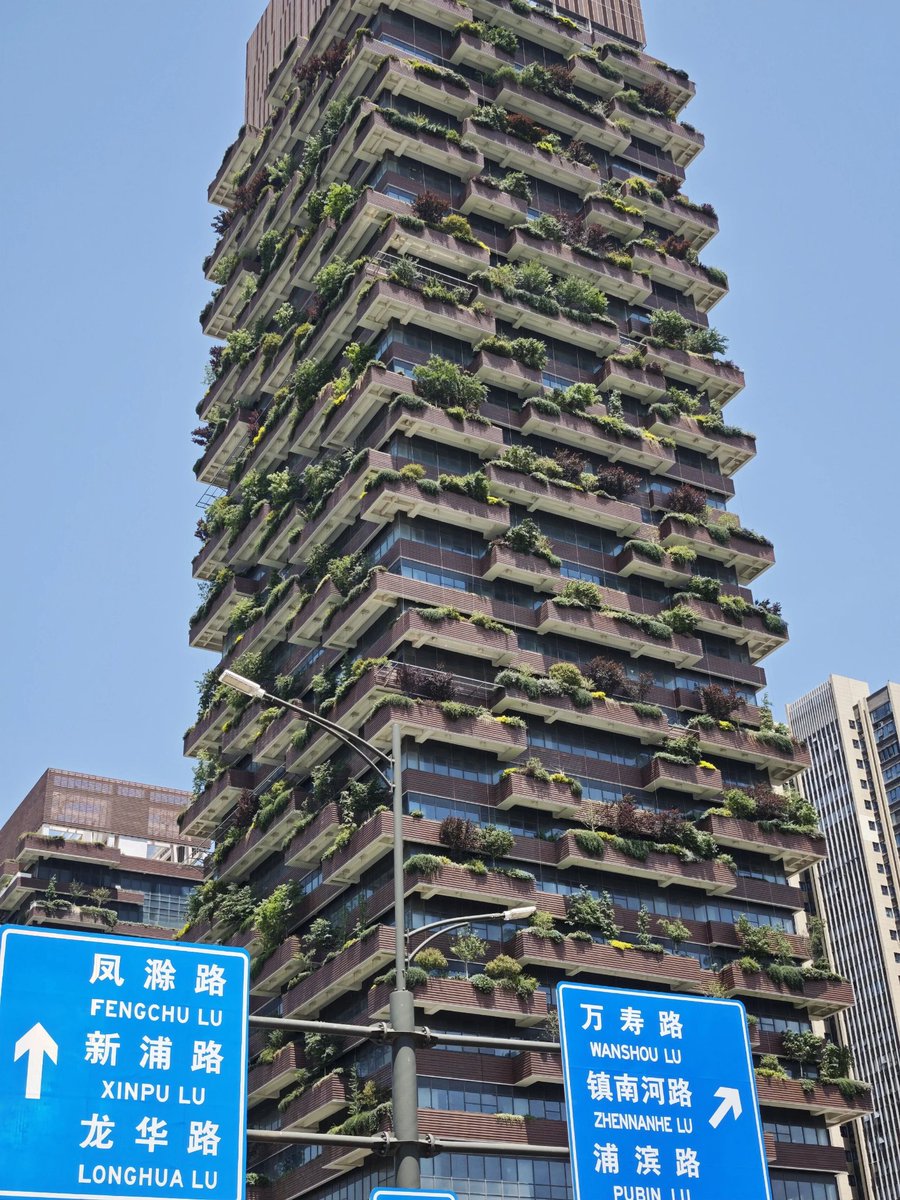 旅行小蜜蜂_(互fo) tweet media