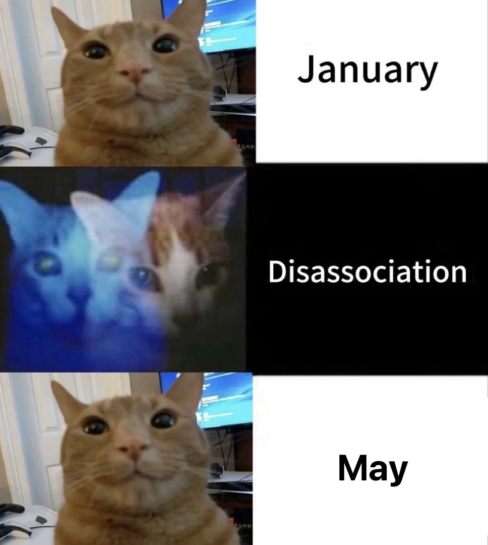 LiterallyMeCats tweet media