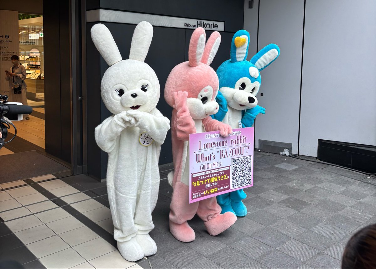 hinata_audry's tweet photo. #見つけて櫻坂うさぎ https://t.co/QmTyVttPMG