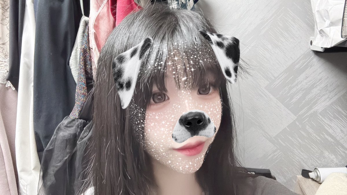 はなちゃ🐶🎀 tweet media