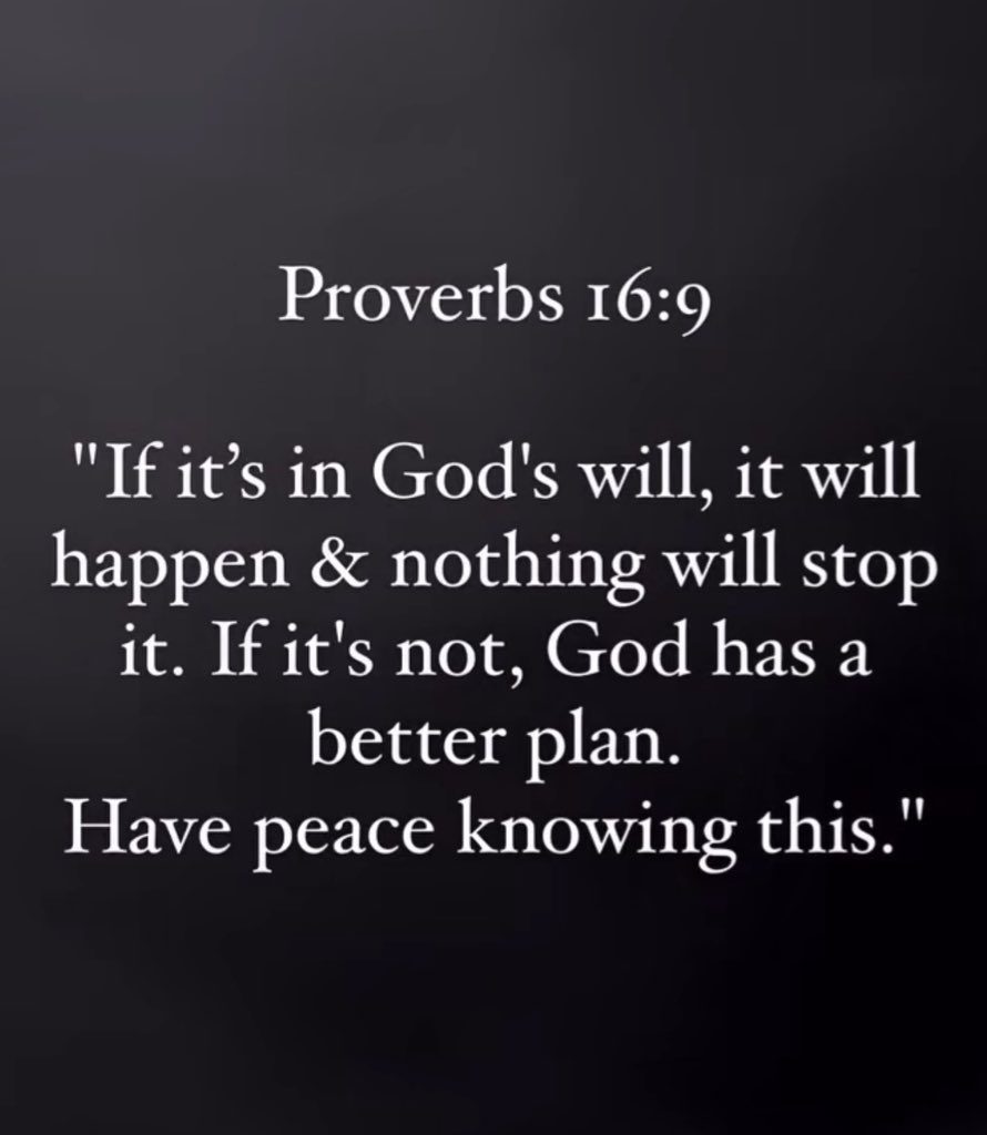 Holy Bible tweet media