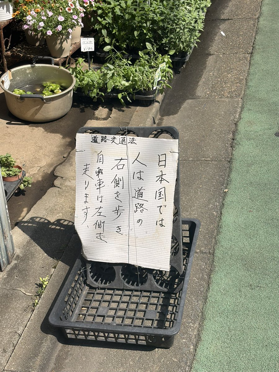 ムカイ tweet media