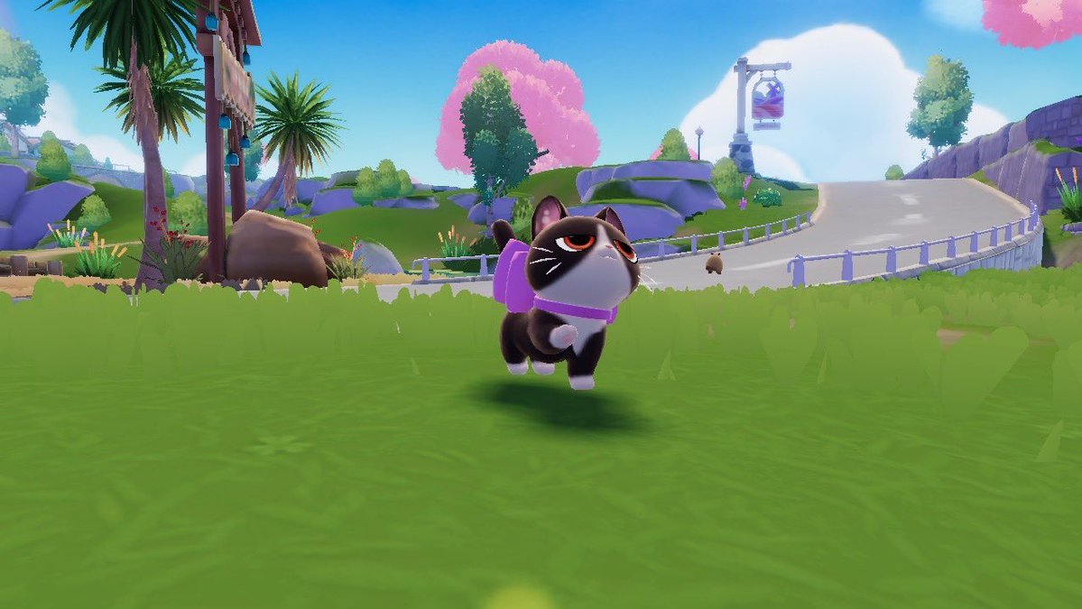 きてぃお tweet media