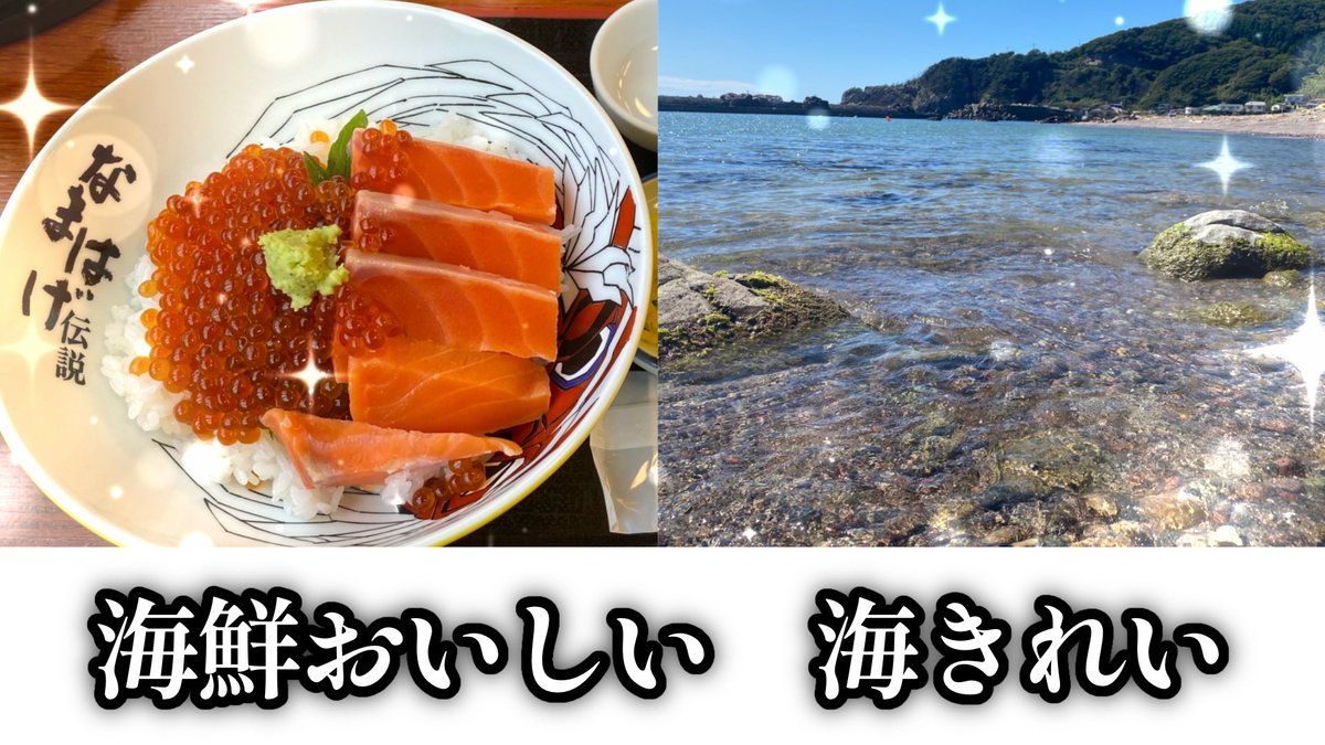 男鹿なもめ@秋田系吸血鬼VTuber tweet media