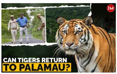 SLSVPurpose's tweet photo. From Zero Tigers to Returning Roars

https://t.co/2hSYG9LsVj

#SLSV #SLSVIndia #TigerConservation #WildlifeRevival #SaveTigers #BigCatRecovery #Biodiversity #ConservationSuccess #WildlifeProtection #EcoRestoration #NatureConservation #TigerRoarsAgain #EnvironmentalSustainability https://t.co/c4JvGKt4pp