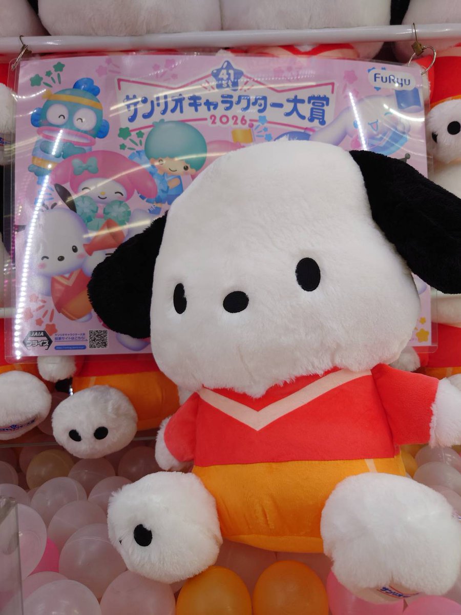 ポチャッコキャラクター大賞2026超超BIGぬいぐるみ こちらも入荷致し