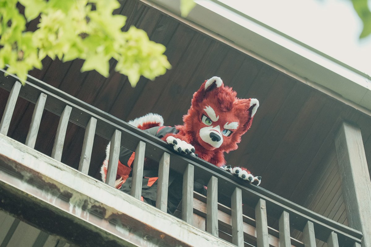 超扯扯 aka 藤堂幸助🏯⛩️ tweet media