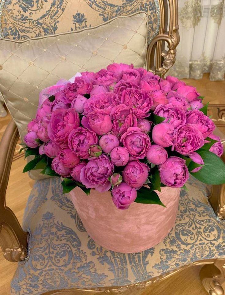 TheBeauty001's tweet photo. https://t.co/CyAdiVtHmu