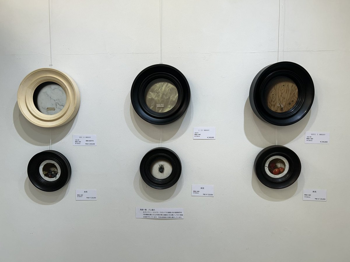 torilogy_'s tweet photo. 私の作品も額縁未塗装品をおり混ぜプレ展示中。
明日には撤収されますが。
今年中には個展といきたいです。 https://t.co/BfCU2onNnr
