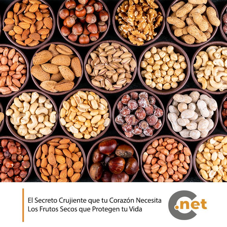 carabobo_net's tweet photo. Los frutos secos se han convertido en uno de los alimentos más recomendados por expertos en nutrición. Y no es casualidad: detrás de su tamaño se esconde un poderoso aliado para cuidar el corazón y mejorar la salud en general.

Lee este artículo aquí🌐👇

https://t.co/99NizN6oZy https://t.co/i620fQUXLY