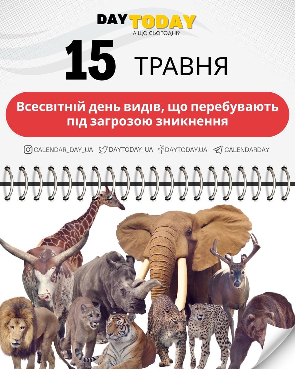 DAY TODAY 🇺🇦 А що сьогодні? tweet media