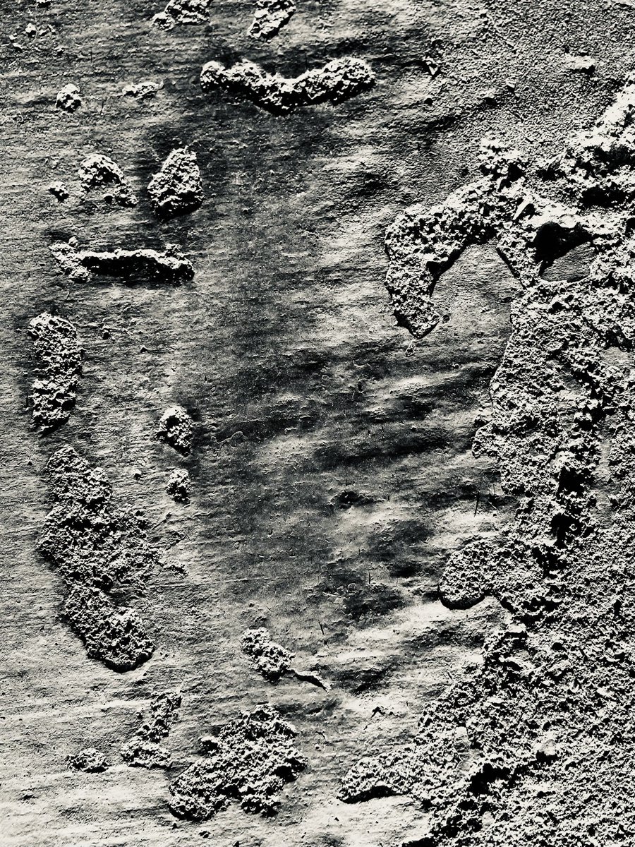 Avantologist's tweet photo. genome
#bnw #arizona #desert #monochrome https://t.co/TUoDcEWwaf