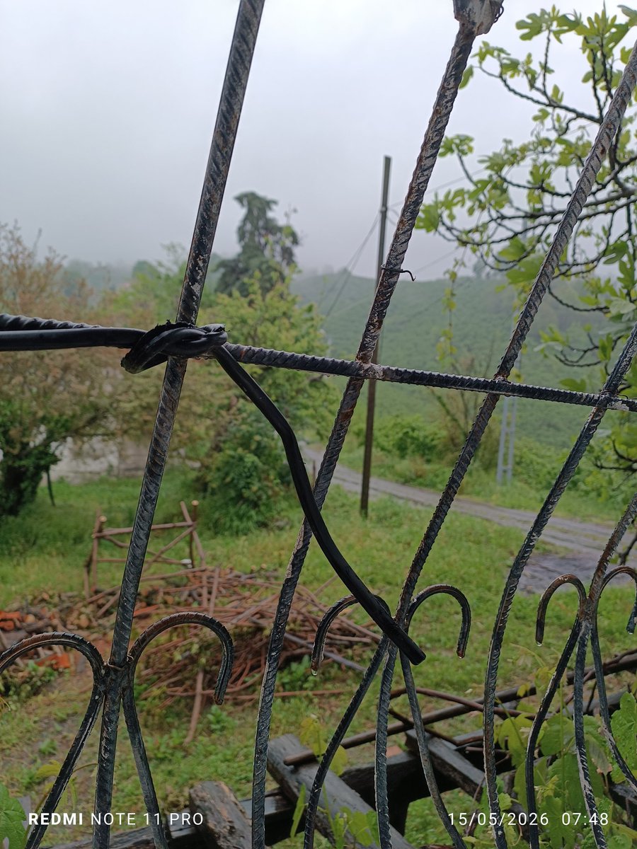 Tiwitbaba's tweet photo. #Cam'dan dışarı bakıyordu
#Yağmur☔💦 yağıyordu
#Puslu'ydu
#Köy'deydi

Günaydın ☕🌿

Hayırlı cumalar 🙏 https://t.co/9NPyDWsw1v