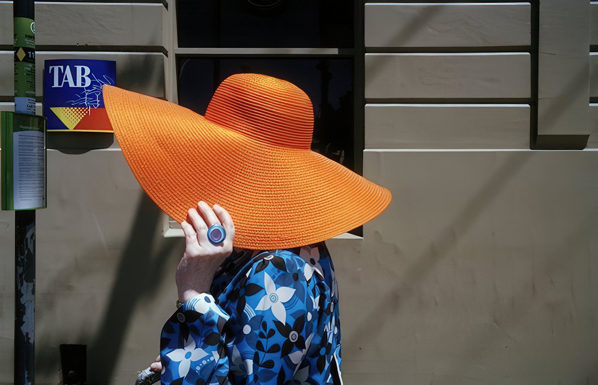 AN🌱NA tweet media