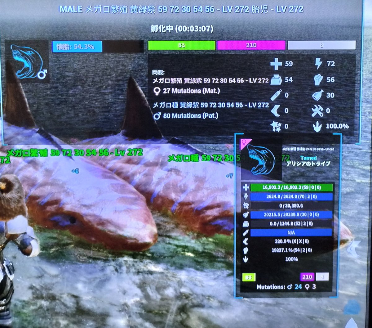 Lucifer_lol's tweet photo. arkメガロドンのブリーディング。
変異値もそうだが、基礎値がクソやべぇ事になってる。
特にSt72？？？バグか何か？ｗｗ https://t.co/Ecm0aMjhBe