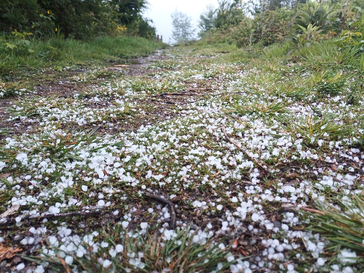 BFVenter's tweet photo. What a beautiful walk on @Bibracte despite the cold and sudden hail. https://t.co/pF6x2KU3Oa