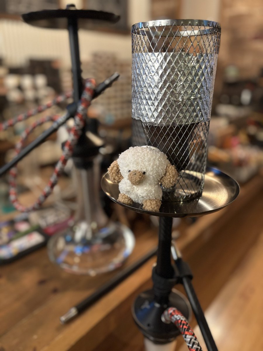 シーシャ カフェ シエスタ shisha cafe Siesta 本山猫洞店 名古屋 tweet media