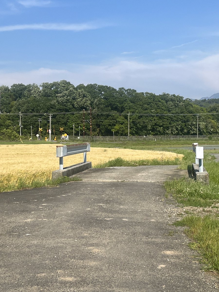 taaa11111111's tweet photo. 長浜付近をお散歩！
自然豊かで癒されました。#滋賀県 #お散歩 https://t.co/jR7RmOrQnp