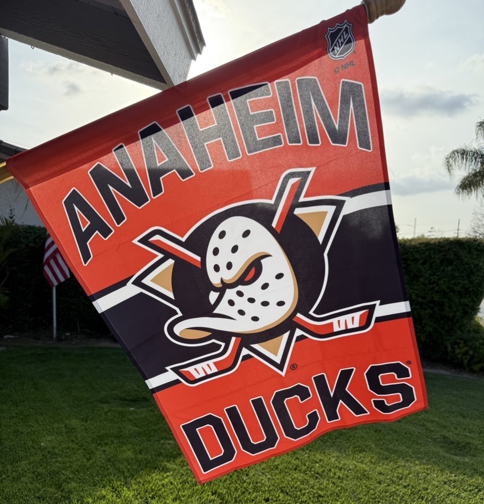 DucksNPucks 🦆🏒 tweet media